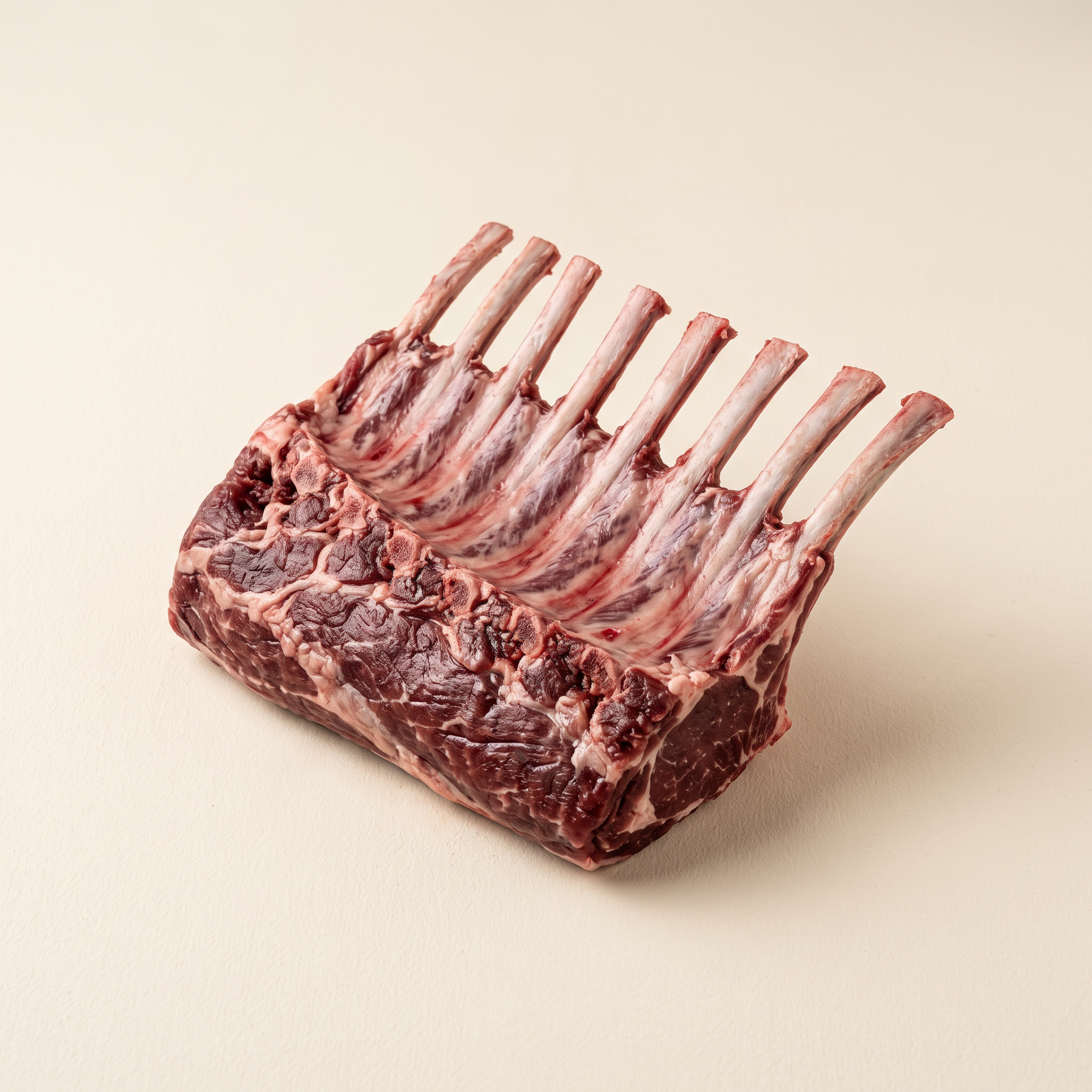 Raw frenched wild boar rack