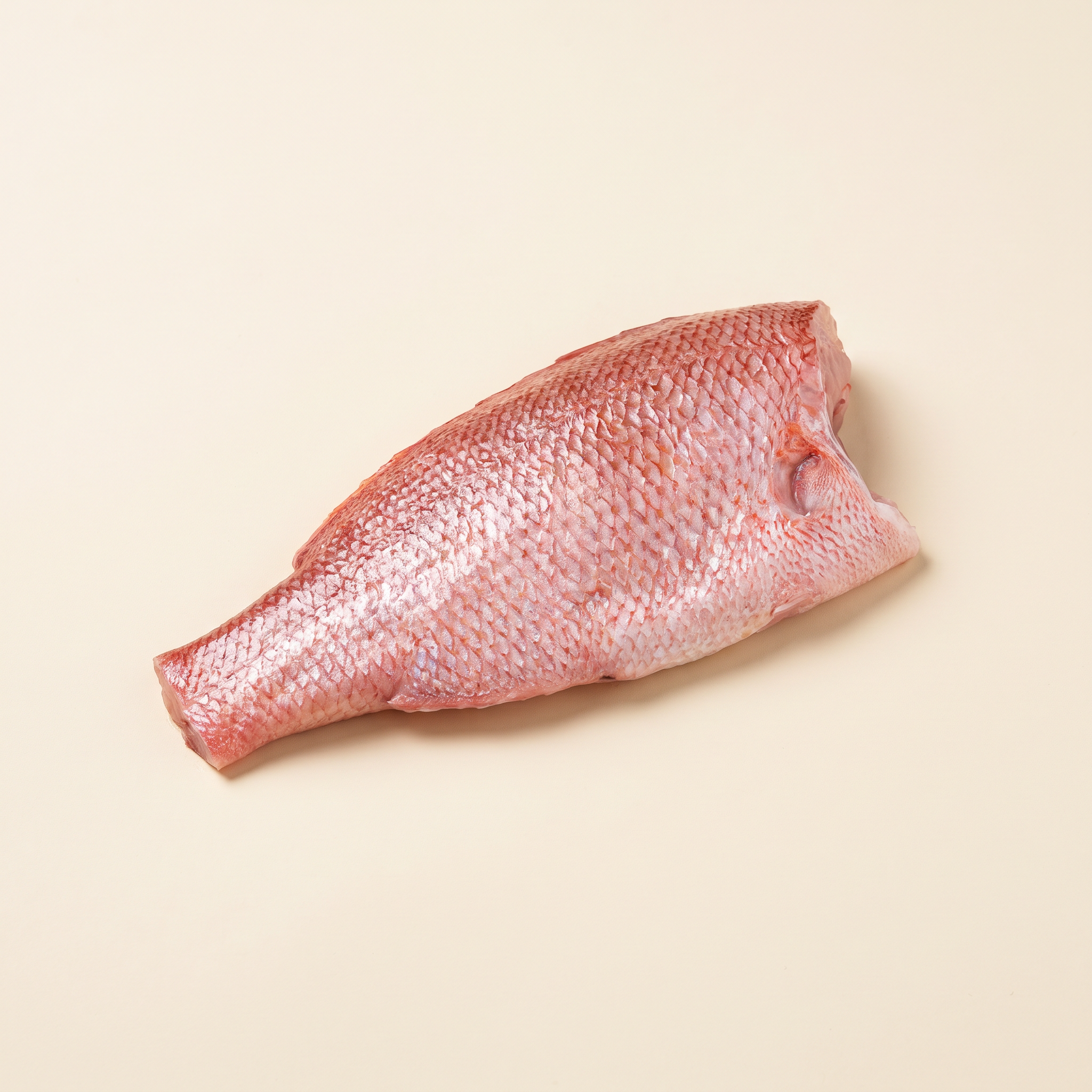 Raw red snapper fillet