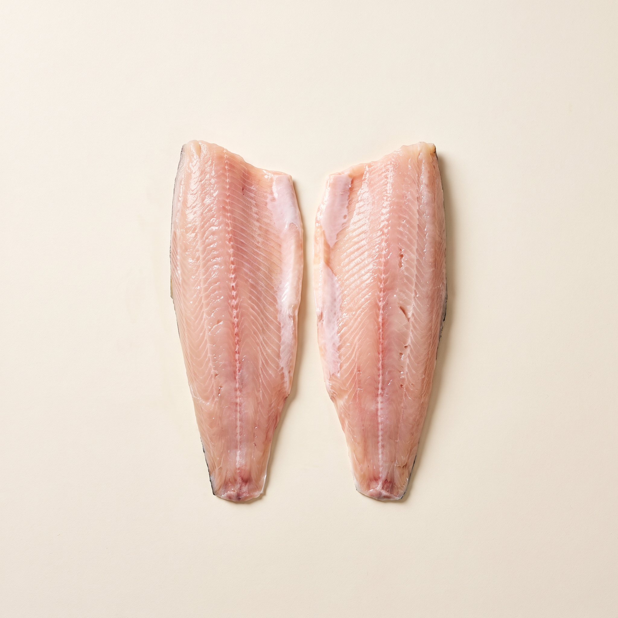 Wild trout fillets
